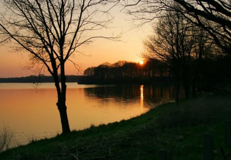 GOLDEN WATERS - reflections, riverbanks, days end, silouettes, trees, evening, sunsets, waterscapes