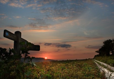 lovely sunset - road, sunset, signpost, fields