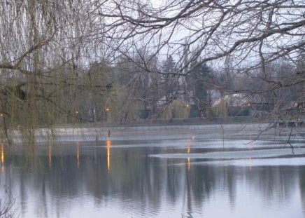 Herastrau_Lake - water, trees, reflection, lights