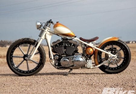 2012 Twisted Choppers Rigid - wrap pipes, kandy solar gamma gold and cool vanilla, bike, custom