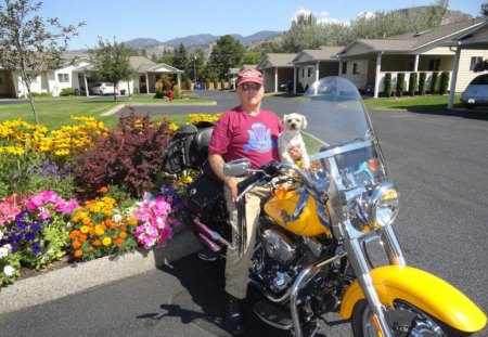 MOJO AND ME ON HARLEY - harley, mojo, flowers, pat