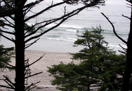 Oregon Coast - oregon, ocean, trees, coast