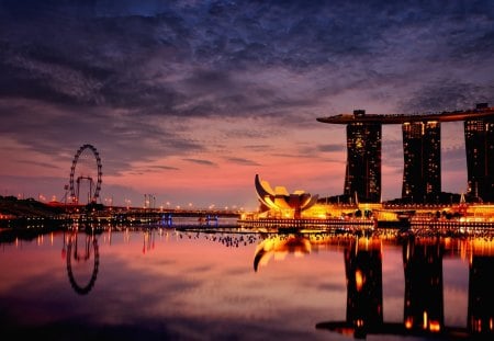 Singapore Dreams - lights, pretty, beautiful, skyscrapers, night, skypark, singapore, sky, architecture, reflection, city, park