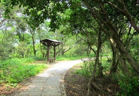 Mountain trail - trail, pavilion, grass, mountain, tree