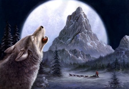 Scenic howl - winter, wolf, sledge, mountain