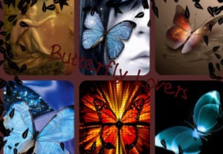 Butterfly Lover's - collage, colour, animals, butterflies