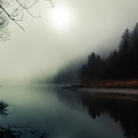 Misty River and Forest