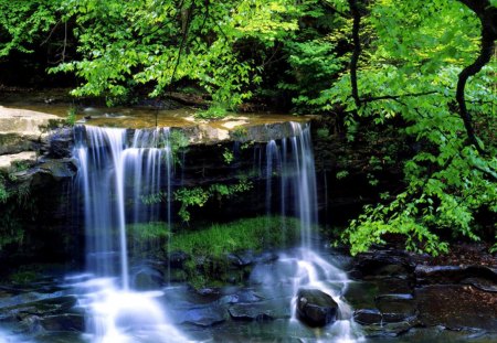 Waterfalls - nature, green, waterfalls, tree