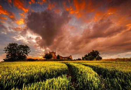 CASTLE under the FLAMING CLOUDS - sky, clouds, field, castle, trees