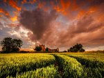 CASTLE under the FLAMING CLOUDS