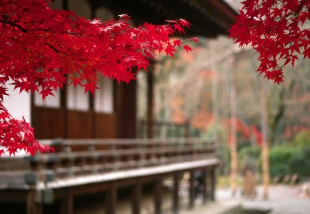 The Tenryu Building - tenryu, the tenryu building, japan, japanese