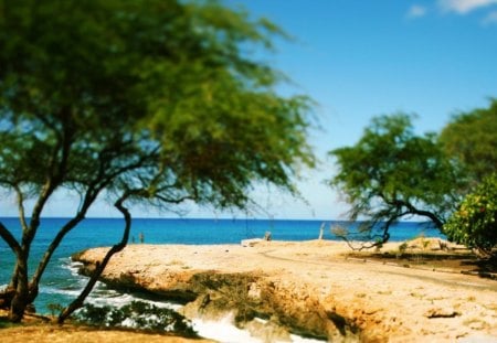 Shore Shift - trees, shore, blue, view, sea, ocean, sky