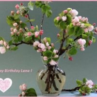 ~ â™¥áƒ¦ Birthday Flowers for Applebloom áƒ¦â™¥ ~