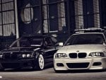 Ying Yang M3's