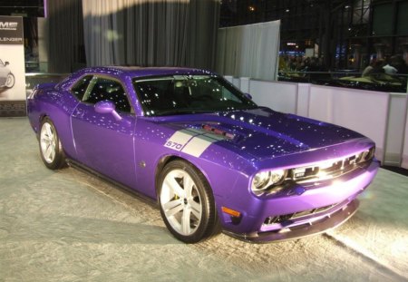 DodgeChallenger - dodge, americanmuscle, car