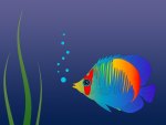 Colorful fish