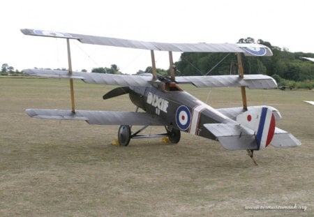 ww1 sopwith - old war bird, triplane