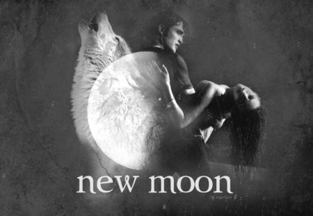 twilight new moon