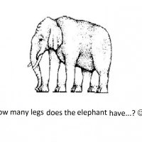 how many legs!
