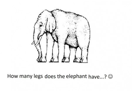 how many legs! - elephandt, confusing, legs, how many