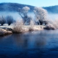 Winter Wye