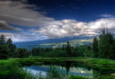 Where I'd Like to Be - white, sky, lake, trees, clouds, blue, pond