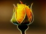 fractal fire rose