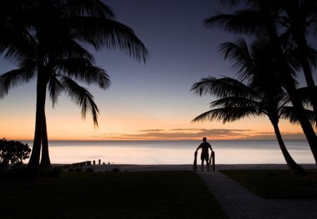 beautiful tropical beach - trees, sunset, water, walkway