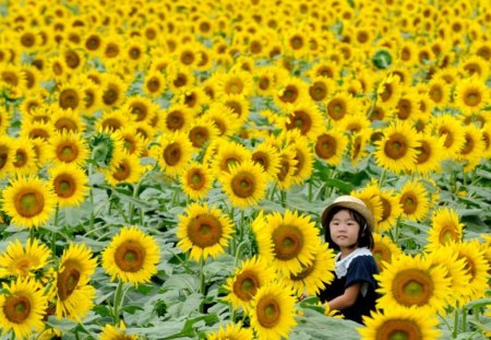 Maze of SunFlowersâ™¥ - love, vivid color, sunflowers, sunshine, always, child, field, maze, bright, nature, annie, forever, yellow, single, happy