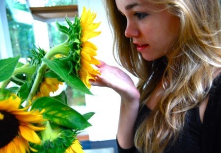 Looking tenderly♥ - warmth, vivid color, yellow, magic, blonde, precious, flowers, gorgeous, sunflower, always, forever, girl, sunshine, love, tenderly looking, wonder, nature, annie, young