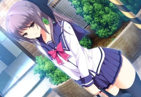 Aya Inubousaki - aya inubousaki, anime, anime school girl, anime girl, purple, blue, lovely x cation