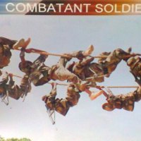 Combatant Soldiers