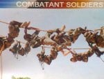 Combatant Soldiers