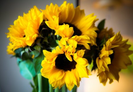 Reflected SunShineâ™¥ - sunshine, sunflowers, bouquet, annie, yellow, forever, life, arrangement, green, love, magnificent, vivid color, always, fashion, reminder, entertainment, precious, floral, happy