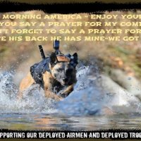 K9 Heroes