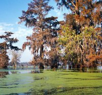 Louisiana Basin