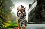 Amazing Tiger