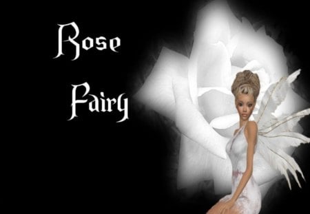 White Rose Fairy - white, fairy, fantasy, rose