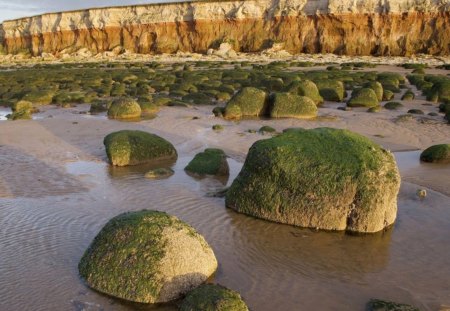 rocky beach in norfolk england - moss, rocks, algae, cliffs, coast, beach, stones, sea