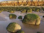 rocky beach in norfolk england