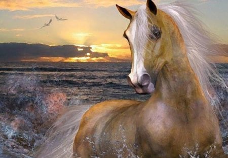 waters of a galloping horse - of, horse, a, waters, galloping