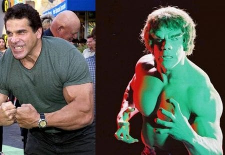 Lou Ferigno: The Incredible Hulk - the hulk, the incredible hulk, lou ferigno the incredible hulk, lou ferigno as the hulk, lou ferigno