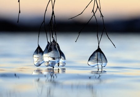 Blue Tears - tears, ice, heart, blue