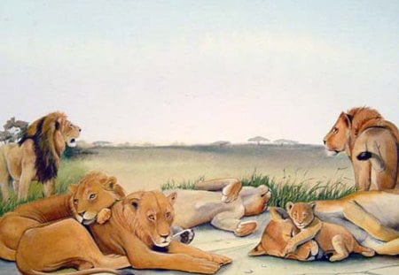 Pride Of Lions - pride of lions, lions, big cats, lions pride, pride