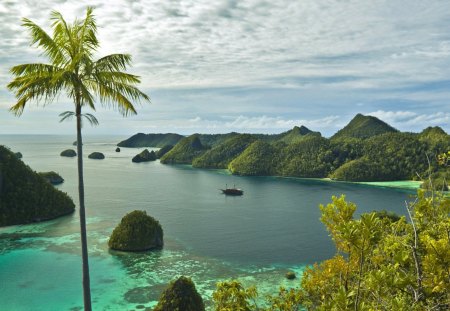 beautiful polynesian inlet - plams, forest, inlet, mountains, sea