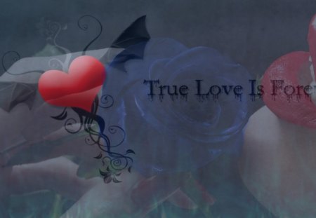 True Love Is Forever - love, true, forever, fantasy