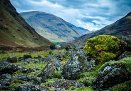 macro focus in scottish highlands - valley, mountains, rocks, macro focus