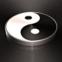 Yin Yang Coin