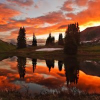 Lake in Evening Reflection