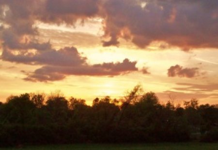 At the End of the Day - sky, summer, trees, sunset